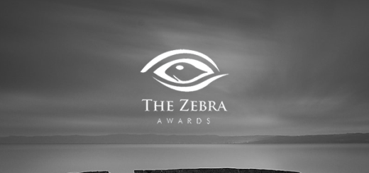 The Zebra Awards