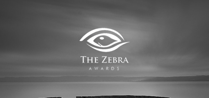 The Zebra Awards