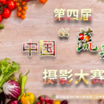 第四屆中國蔬菜攝影大賽徵稿