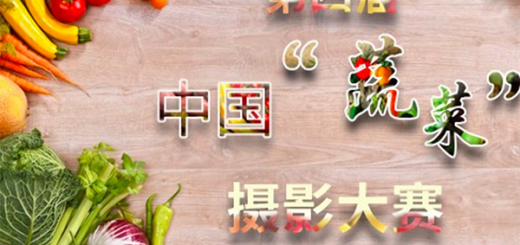 第四屆中國蔬菜攝影大賽徵稿