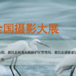 第二屆中國．都昌鄱陽湖候鳥全國攝影大展徵稿