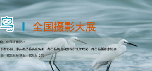 第二屆中國．都昌鄱陽湖候鳥全國攝影大展徵稿