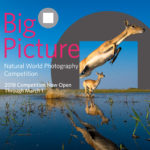 2018 Big Picture Nature Photo Contest