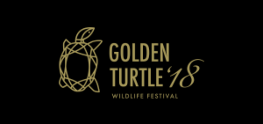 Golden Turtle 2018 Wildlife Photography Competition
