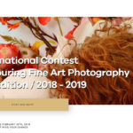 Fine Art Photography Award 第五屆 FAPA 藝術攝影獎