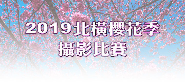 2019「北橫櫻花季」攝影比賽