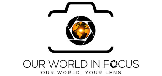 Our World In Focus