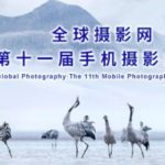 2019全球攝影網第十一屆手機攝影大賽