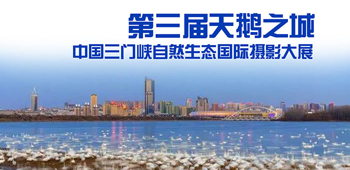 2019第三屆「天鵝之城」中國三門峽自然生態國際攝影大展徵稿