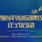 2019首屆陝西省農業品牌設計大賽