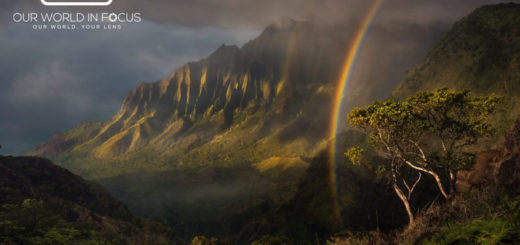 2019 Landscape Photo of the Year Contest - Our World In Focus