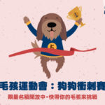 2020台北國際寵物生活用品＆服務展「毛孩運動會．狗狗衝刺賽」