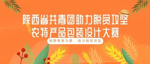 陝西省共青團助力脫貧攻堅農特產品包裝設計大賽