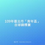 109年臺北市「青年盃」合球錦標賽