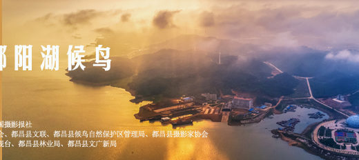 2020第四屆「中國．都昌鄱陽湖候鳥」全國攝影大展