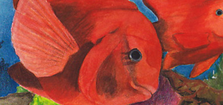 2020 The State-Fish Art Contest and The Fish Migration Award