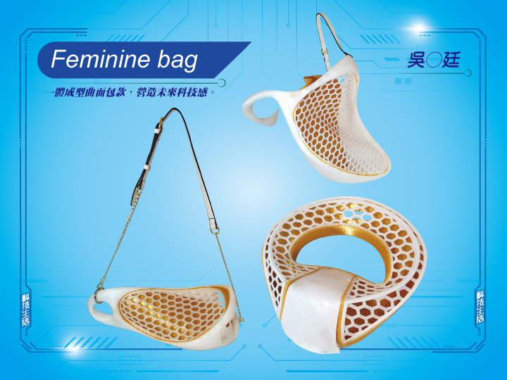 銀獎作品：Feminine bag