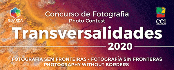 2020 Transversalidades Photo Contest