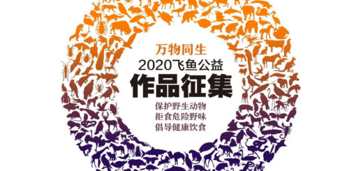 2020「萬物同生」飛魚國際公益創意作品徵集