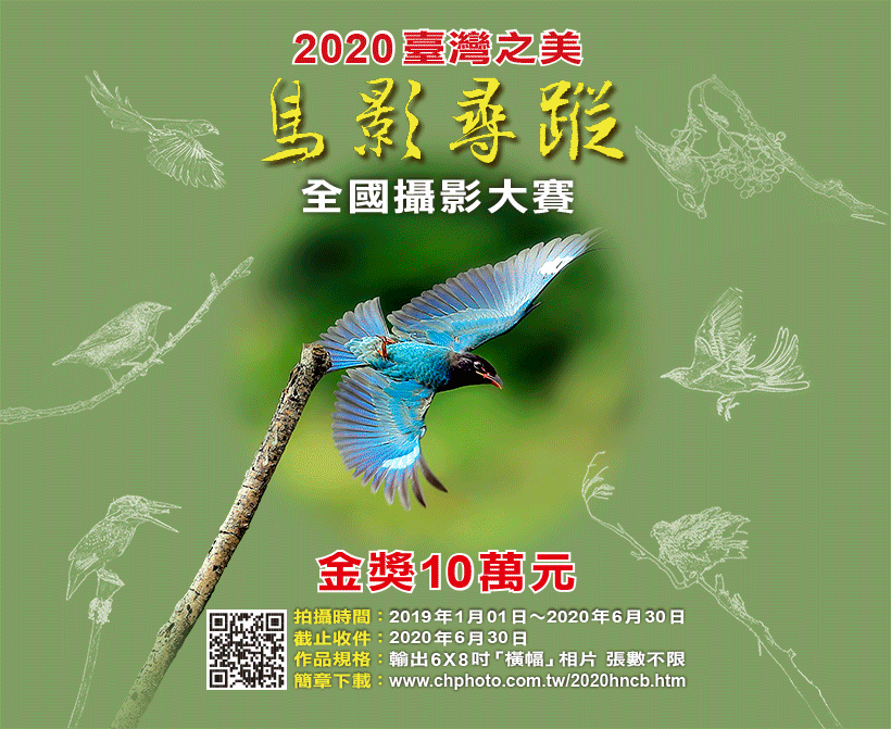 2020華南銀行「臺灣之美．鳥影尋蹤」全國攝影大賽