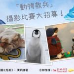 《南極企鵝北極熊》「動物救兵」創意攝影比賽