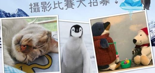 《南極企鵝北極熊》「動物救兵」創意攝影比賽