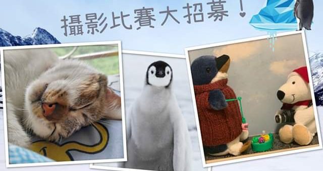 《南極企鵝北極熊》「動物救兵」創意攝影比賽