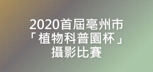 2020首屆亳州市「植物科普園杯」攝影比賽