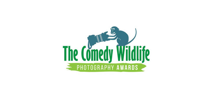 Comedy Wildlife Photo Awards