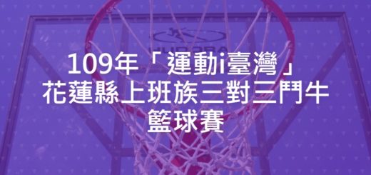 109年「運動i臺灣」花蓮縣上班族三對三鬥牛籃球賽