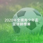 2020年全國青少年盃足球錦標賽