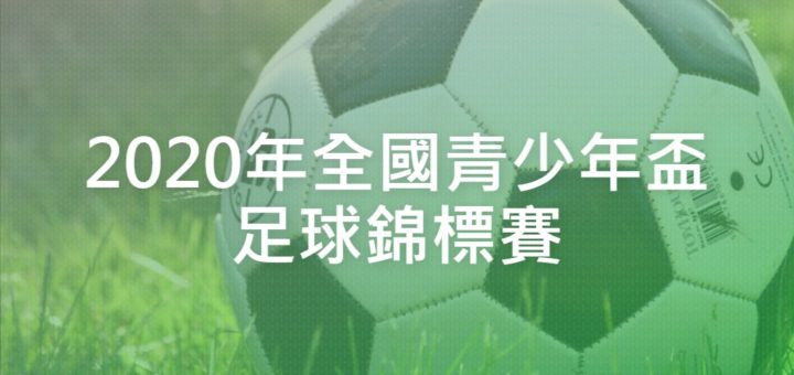 2020年全國青少年盃足球錦標賽