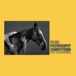 2021 Communication Arts Photography Competition