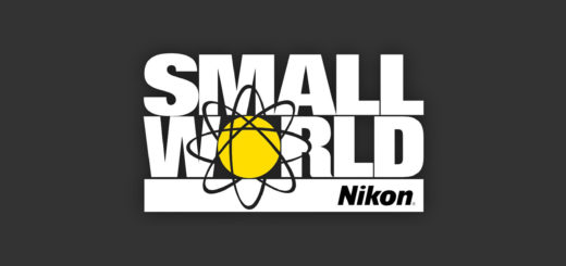 Nikon Small World Photomicrography Competition