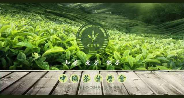 「中茶杯」我為中國茶代言微視頻大賽