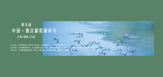 2021第五屆中國．都昌鄱陽湖候鳥全國攝影大展