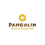 2021 Pangolin Photo Challenge