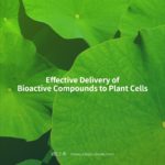 Effective Delivery of Bioactive Compounds to Plant Cells