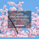 2023八芳園TOKYO SAKURA GARDENフォトコンテスト